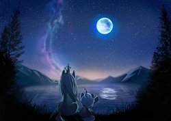 Size: 1500x1060 | Tagged: safe, artist:skyeypony, queen chrysalis, oc, changeling, changeling queen, fanfic:a kindled end, g4, changeling oc, duo, fanfic art, female, lake, moon, night, scenery, scenery porn, shooting star, sitting, stars, water