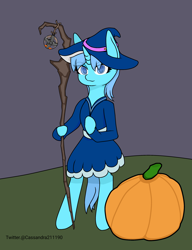 Size: 2000x2600 | Tagged: safe, artist:cassandra211190, oc, pony, unicorn, clothes, hat, horn, unicorn oc