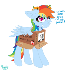 Size: 4096x4096 | Tagged: safe, artist:vinyvitz, derpibooru exclusive, rainbow dash, pegasus, pony, mlp fim's fourteenth anniversary, g4, box, ear fluff, eyelashes, female, grammar, grammar error, hairpin, halloween, holiday, jack-o-lantern, looking at you, marker drawing, multicolored hair, multicolored tail, polish, pony in a box, pumpkin, qr code, simple background, smiling, solo, speech, spread wings, standing, tail, talking, text, traditional art, transparent background, wings