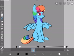 Size: 2160x1620 | Tagged: safe, artist:partyponypower, artist:starlightglmr, rainbow dash, pegasus, pony, g4, alternate eye color, alternate hairstyle, alternate universe, art program in frame, blue coat, colored eyebrows, colored pupils, colored sketch, eyebrows, eyebrows visible through hair, frown, ibispaint x, male, missing cutie mark, multicolored hair, multicolored mane, rainbow hair, rainbow tail, red eyes, red pupils, sitting, sketch, solo, spread wings, stallion, tail, three quarter view, trans male, trans rainbow dash, transgender, wings