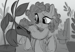 Size: 3550x2500 | Tagged: safe, artist:crimmharmony, oc, oc only, oc:gaiyah, insect, ladybug, pony, looking at something, monochrome, not pinkie pie, plant, sketch, smiling, solo