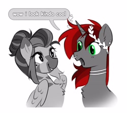 Size: 4096x3660 | Tagged: safe, artist:opalacorn, oc, oc only, oc:silver stream, oc:void, alicorn, pegasus, pony, zebra, zebrasus, bust, dialogue, duo, duo male and female, female, grin, male, mare, nose piercing, nose ring, open mouth, open smile, palette swap, piercing, recolor, simple background, smiling, stallion, white background, zebra oc