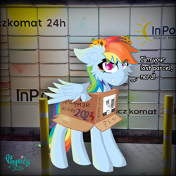 Size: 4096x4096 | Tagged: safe, artist:vinyvitz, derpibooru exclusive, rainbow dash, pegasus, pony, mlp fim's fourteenth anniversary, g4, box, ear fluff, eyelashes, female, grammar, grammar error, hairpin, halloween, holiday, inpost, jack-o-lantern, looking at you, marker drawing, multicolored hair, multicolored tail, poland, polish, pony in a box, pumpkin, qr code, smiling, solo, speech, spread wings, standing, tail, talking, text, traditional art, wings