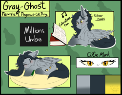 Size: 4500x3500 | Tagged: safe, artist:decemberbreeze, oc, oc only, pegasus, pony, pegasus oc, reference sheet, solo