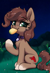 Size: 832x1216 | Tagged: safe, ai assisted, ai content, anonymous artist, oc, oc only, oc:scarfy bat-heart, earth pony, pony, brown coat, brown mane, brown tail, chest fluff, ear fluff, eating, eyebrows, eyebrows visible through hair, eyes open, female, female oc, food, grass, happy, herbivore, jewelry, mango, mare, mouth hold, necklace, night, outdoors, raised hoof, sitting, smug, solo, stars, tail