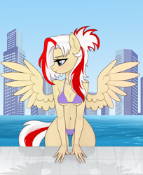 Size: 2200x2700 | Tagged: safe, artist:nosferatucami_, oc, oc only, oc:redsun, pegasus, anthro, belly, belly button, bikini, breasts, city, cityscape, clothes, female, outdoors, purple bikini, purple swimsuit, solo, swimsuit, wide hips, wings