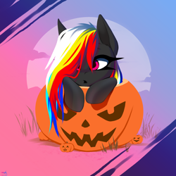 Size: 2500x2500 | Tagged: safe, artist:darky_wings, oc, oc only, oc:darky wings, pegasus, pony, mlp fim's fourteenth anniversary, commission, cute, gradient background, halloween, halloween 2024, holiday, ocbetes, outdoors, pumpkin, solo, ych example, your character here