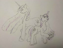 Size: 4080x3072 | Tagged: safe, artist:ollie sketchess, twilight sparkle, alicorn, pony, unicorn, book, horn, photo, traditional art, twilight sparkle (alicorn)