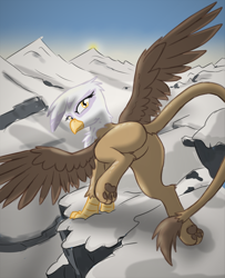 Size: 4022x4947 | Tagged: safe, artist:pzkratzer, gilda, griffon, g4, butt, cute, featureless crotch, female, gildadorable, gildonk, landing, looking back, mountain, outdoors, paws, sketch, snow, solo, underpaw