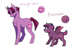 Size: 1900x1286 | Tagged: safe, artist:yozora122, oc, oc only, oc:firecracker twist, oc:midnight spark, alicorn, pegasus, pony, unicorn, alicorn oc, chest fluff, colt, duo, female, foal, horn, magical lesbian spawn, male, mare, next generation, offspring, parent:tempest shadow, parent:twilight sparkle, parents:tempestlight, reference sheet, siblings, simple background, spread wings, white background, wings