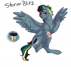 Size: 1800x1700 | Tagged: safe, artist:yozora122, oc, oc only, oc:storm blitz, pony, unicorn, bandage, flying, horn, male, next generation, offspring, parent:king sombra, parent:rainbow dash, parents:sombradash, reference sheet, scar, scratches, simple background, solo, stallion, white background