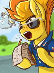 Size: 4465x5963 | Tagged: safe, artist:simplesaemple, derpy hooves, spitfire, pegasus, pony, g4, absurd resolution, bubble butt, butt, clothes, cloud, drill sergeant, freckles, notebook, outdoors, pencil, sunglasses, uniform, wonderbolt trainee uniform, yelling