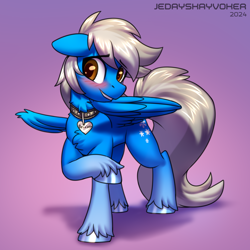 Size: 2800x2800 | Tagged: safe, artist:jedayskayvoker, oc, oc:betting snow, pegasus, blushing, chest fluff, collar, colored sketch, commission, cute, femboy, folded wings, gradient background, long tail, male, pegasus oc, pet tag, sketch, solo, stallion, tail, unshorn fetlocks, wings