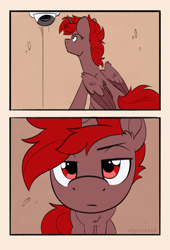 Size: 1723x2541 | Tagged: safe, artist:skysorbett, oc, oc only, oc:hardy, alicorn, pony, behaving like a cat, camera, close-up, comic, folded wings, looking at something, looking at you, looking up, looking up at you, male, sitting, solo, stallion, wings