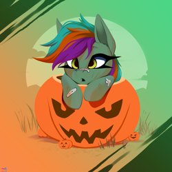 Size: 2500x2500 | Tagged: safe, artist:darky_wings, oc, oc only, oc:detonaty, pony, commission, cute, gradient background, halloween, halloween 2024, holiday, ocbetes, outdoors, pumpkin, solo, ych example, your character here