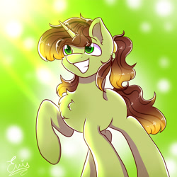 Size: 5669x5669 | Tagged: safe, artist:eniartuwu, pony, g4, chest fluff, commission, cute, solo