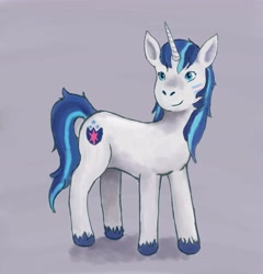 Size: 5896x6154 | Tagged: safe, artist:garden-guardian, shining armor, unicorn, g4, female, gleaming shield, horn, looking at you, mare, simple background, solo, trans female, transgender, unshorn fetlocks