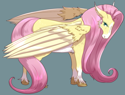 Size: 1088x825 | Tagged: safe, artist:liokkamillie, fluttershy, pegasus, pony, g4, coat markings, colored wings, facial markings, female, full body, headcanon, hoers, looking at you, looking back, looking back at you, mare, mealy mouth (coat marking), realistic, realistic horse legs, realistic wings, simple background, socks (coat markings), solo, stripe (coat marking), teal background, two toned wings, unshorn fetlocks, wings