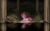 Size: 2785x1731 | Tagged: safe, artist:lillslim, pinkie pie, earth pony, pony, g4, digital art, digital painting, female, fine art parody, forest, forest background, john bauer, lying down, mare, nature, pinktober, pinktober 2024, ponified, princess tuvstarr gazing down into the dark waters of the forest tarn, reflection, solo, tree, wallpaper, water, ännu sitter tuvstarr kvar och ser ner i vattnet