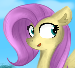 Size: 940x851 | Tagged: safe, artist:mashee, fluttershy, pegasus, pony, g4, adorable face, bust, cloud, cloudy, colored, cute, icon, looking back, open mouth, original art, original style, portrait, profile, simple background, sky