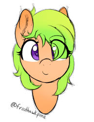 Size: 810x1047 | Tagged: safe, artist:frosthawkpone, oc, oc only, oc:dune raindrops, bust, eye clipping through hair, female, green mane, mare, signature, simple background, solo, text, transparent background, violet eyes