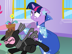 Size: 788x594 | Tagged: safe, artist:christhes, edit, pinkie pie, twilight sparkle, earth pony, pony, unicorn, g4, clothes, cropped, dress, duo, female, floppy ears, flower pot, gala dress, horn, indoors, mare, ninja, pinkie spy, shoes, stars, twilight sparkle's first gala dress, unicorn twilight