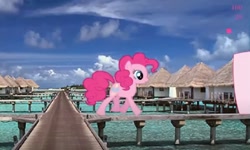 Size: 1250x750 | Tagged: safe, pinkie pie, earth pony, pony, g4, collect cupcakes lick ponies, door, female, flash game, island, mare, outdoors, tropical