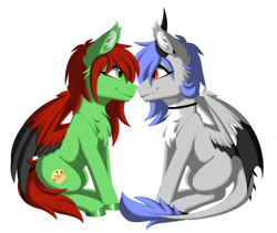 Size: 3600x3038 | Tagged: oc name needed, safe, alternate version, artist:melodytheartpony, oc, oc only, oc:melody silver, oc:raist, dracony, dragon, hybrid, pegasus, choker, commission, duo, ear piercing, facing each other, female, feral, happy, long mane, looking at each other, looking at someone, partner, piercing, red eyes, shipping, short mane, signature, simple background, sitting, smiling, spread wings, white background, wings, ych result, your character here