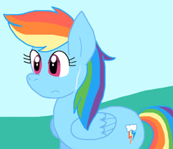 Size: 827x716 | Tagged: safe, artist:cmara, rainbow dash, pegasus, pony, g4, female, outdoors, solo