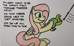 Size: 2048x1271 | Tagged: safe, artist:hoofclid, fluttershy, pegasus, pony, tortoise, g4, female, mare, marker drawing, smiling, solo, text, traditional art, trapeze