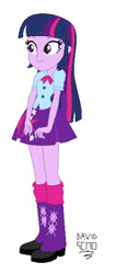 Size: 248x591 | Tagged: safe, artist:xxdavid5000xx, twilight sparkle, human, equestria girls, g4, clothes, legs, shirt, simple background, skirt, solo, white background