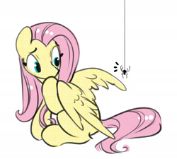 Size: 2190x1972 | Tagged: safe, artist:opalacorn, fluttershy, pegasus, pony, spider, g4, female, inktober, inktober 2024, looking back, mare, simple background, solo, white background