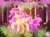 Size: 2732x2048 | Tagged: safe, artist:kuro, fluttershy, butterfly, pegasus, pony, g4, blush lines, blush sticker, blushing, ear fluff, female, flower, flower in hair, flower in tail, forest, heart, heart eyes, long mane, long tail, mare, nature, outdoors, ponytober, ponytober 2024, raised hoof, raised leg, smiling, solo, standing on two hooves, tail, tree, wingding eyes, wings