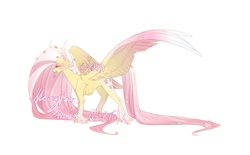 Size: 750x465 | Tagged: safe, artist:ninnn263, fluttershy, pegasus, pony, g4, concave belly, large wings, long mane, long tail, ribs, simple background, slender, solo, spread wings, tail, thin, white background, wings