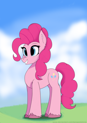 Size: 2480x3508 | Tagged: safe, artist:tempestshine, pinkie pie, earth pony, pony, g4, female, mare, outdoors, solo