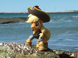 Size: 1032x774 | Tagged: safe, artist:dingopatagonico, applejack, earth pony, g4, argentina, hat, ocean, outdoors, photo, pirate hat, solo, water