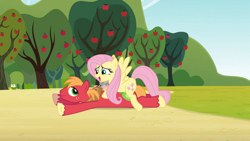 Size: 1920x1080 | Tagged: safe, anonymous artist, edit, edited screencap, screencap, big macintosh, fluttershy, earth pony, pegasus, pony, g4, my little pony: friendship is magic, too many pinkie pies, apple, apple tree, character swap, duo, duo male and female, female, looking at each other, looking at someone, lying down, male, mare, open mouth, open smile, outdoors, prone, ship:fluttermac, shipping, smiling, smiling at each other, sploot, stallion, straight, sweet apple acres, tree