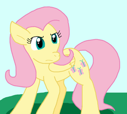 Size: 872x783 | Tagged: safe, artist:cmara, fluttershy, pegasus, pony, g4, female, mare, outdoors, solo