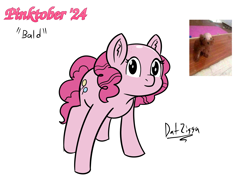 Size: 3644x2731 | Tagged: safe, artist:datzigga, pinkie pie, earth pony, pony, g4, bald, ponified animal photo, reference used, shaved head, simple background, solo, white background