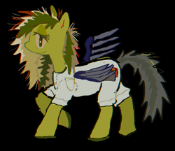 Size: 2887x2500 | Tagged: safe, artist:vemrill, pegasus, pony, black background, clothes, full body, gray tail, green coat, green mane, simple background, smiling, wings