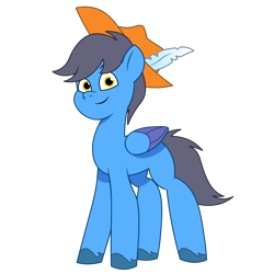 Size: 1200x1200 | Tagged: safe, artist:prixy05, oc, oc only, oc:hudson west, pegasus, pony, g5, my little pony: tell your tale, hat, male, simple background, solo, stallion, transparent background, vector