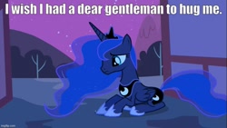 Size: 889x500 | Tagged: safe, edit, edited screencap, screencap, princess luna, alicorn, pony, g4, luna eclipsed, my little pony: friendship is magic, season 2, bronybait, caption, female, hugs needed, image macro, lying down, mare, outdoors, prone, text