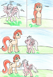 Size: 972x1400 | Tagged: safe, artist:fleximusprime, oc, oc only, earth pony, pegasus, pony, duo, earth pony oc, outdoors, pegasus oc, scrunchy face, size difference, slap, spread wings, wings