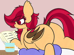 Size: 1683x1260 | Tagged: safe, artist:niggerpoopeater, oc, oc only, oc:swing shift, bat pony, bat pony oc, book, butt, dock, female, implied pregnancy, indoors, lying down, mare, plot, pregnant, reading, solo, tail