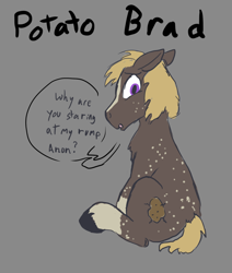 Size: 974x1146 | Tagged: safe, artist:thebathwaterhero, oc, oc only, oc:potato brad, earth pony, pony, solo