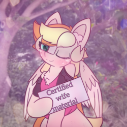 Size: 2664x2664 | Tagged: safe, artist:sodapop sprays, oc, oc only, oc:sodapop sprays, pegasus, pony, blushing, clothes, holding sign, looking at you, one eye closed, outdoors, solo, wink, winking at you