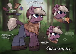 Size: 4000x2876 | Tagged: safe, artist:selenophile, oc, oc only, oc:chanterelle, earth pony, pony, adoptable, clothes, dialogue, ear piercing, earring, female, forest, jewelry, knife, mare, mushroom, nature, outdoors, piercing, reference sheet, scarf, shoes, solo, sweater, tail, tail wrap, text, tree, watermark