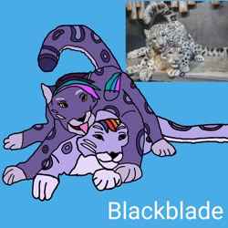 Size: 2560x2560 | Tagged: safe, artist:blackblade360, allura, alterro, aq bars, big cat, cat, leopard, snow leopard, g5, animal, blue background, brother and sister, cute, digital art, female, grooming, ibispaint x, irl, licking, lying down, male, older alterro, photo, ponified animal photo, raised tail, reference sheet, sibling love, siblings, signature, simple background, snep, tail, three toned mane, three toned wings, tongue out