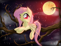 Size: 4000x3000 | Tagged: safe, artist:spidershii, fluttershy, bat pony, pony, bats!, g4, bat ponified, bat wings, ear fluff, female, flutterbat, flying, full moon, high res, lying down, mare, moon, night, night sky, outdoors, race swap, sky, slit pupils, solo, stars, tail, tree, tree branch, wings