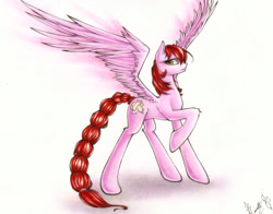 Size: 2055x1615 | Tagged: safe, artist:spidershii, oc, oc only, oc:sweetcake, pegasus, pony, braid, braided tail, concave belly, female, large wings, long tail, mare, pegasus oc, raised hoof, signature, slender, solo, spread wings, tail, tall, thin, traditional art, wings